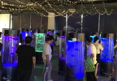 鱼缸展