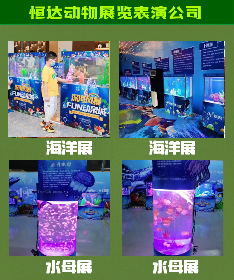 水母展览出租