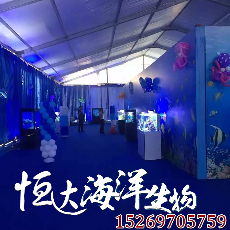 海洋展